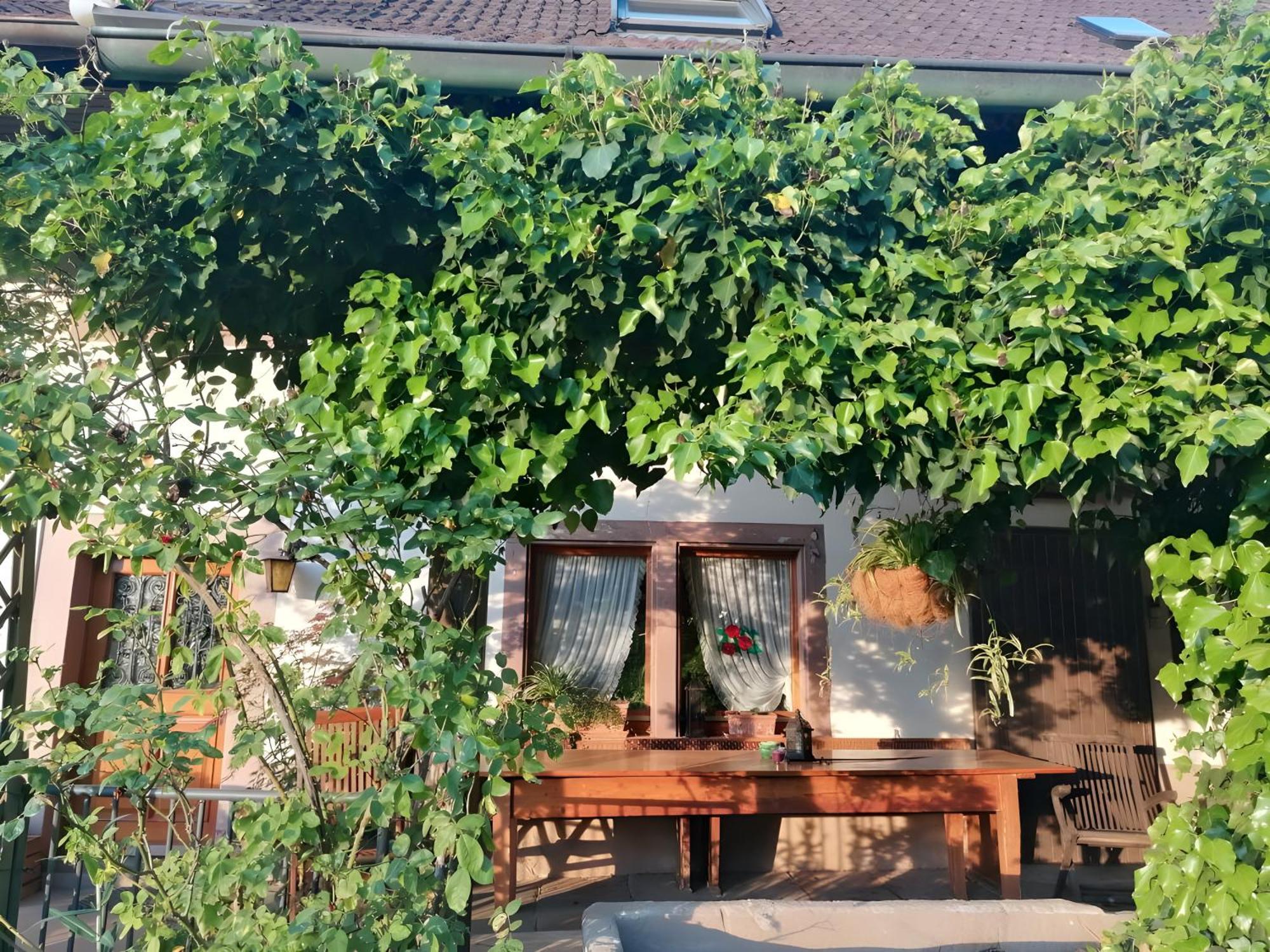 Room In Guest Room - Double Room Apple Blossom Schuttertal 外观 照片